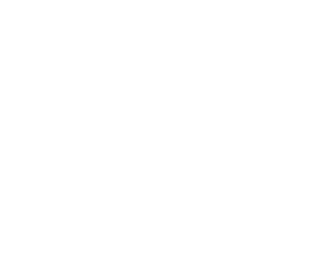 NY Spins