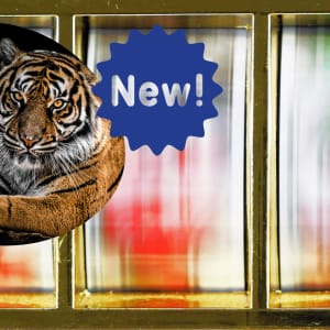 Relax Gaming, 2022 Tiger Kingdom Sonsuzluk Makaralarını Karşılıyor